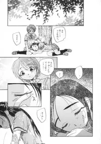 [黒鹿亭] プリキュアだから貧乳本 (Futari wa Precure)