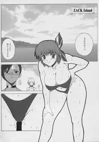(C68) [KINOKO allstars (Kinokonokko, Yumi Ichirou)] Kinoko Tsuushin vol. 1 - revision and enlargement (Dead or Alive)