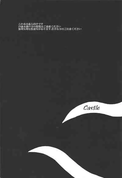 (DUEL PARTY 2) [Sorede 30 (Yoro)] Castle (Yu-Gi-Oh! ZEXAL)