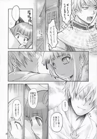(C67) [Seinansei ni Kagayakeru Hoshi (Morino Papiko)] Ragnarok Yawa Level.5 (Ragnarok Online)