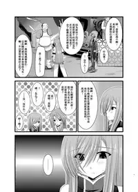 (C78) [valssu (Charu)] Melon ga Chou Shindou! R4 (Tales of the Abyss) [Chinese] [流星汉化]
