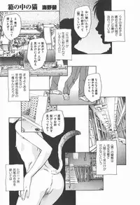 COMIC XO 2007-12 Vol. 19
