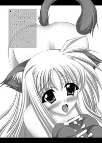 (C80) [chronicle (YUKITO)] FATE COLLECTION II (Mahou Shoujo Lyrical Nanoha)