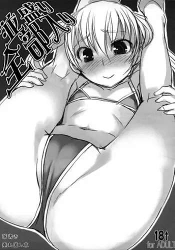 (C69) [AskRay (Bosshi)] TOY HOLE EXTENDED!