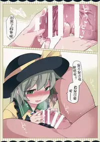 (C90) [Sunset Beach (Hammer)] Koishi-chan ga Pet o Korashimechau Ohanashi (Touhou Project) [Chinese] [靴下汉化组]
