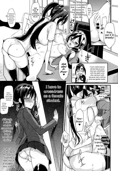 Seitokaichou no Himitsu