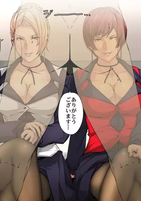 Melty Skin Ladies Vol. 28 ~Zettai Meirei! Mature & Vice no Renzoku Shasei Shinsa~