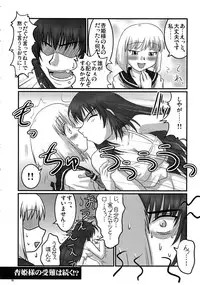 (C71) [Nozarashi (Nozarashi Satoru)] Gyakushuu no Kyouhime-sama