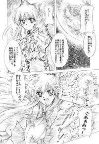 (C73) [Kotori Jimusho (Sakura Bunchou)] Gisei to Inori wo... (Sailor Moon)