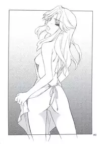 (C74) [P-Forest (Hozumi Takashi)] INTERMISSION_if Soushuuhen_A (Super Robot Wars OG: Original Generations)