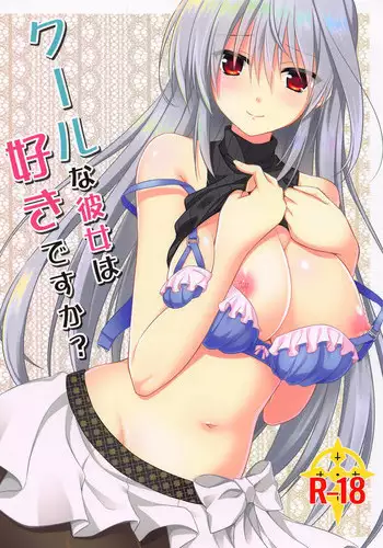 サキュバスとえっちする本。