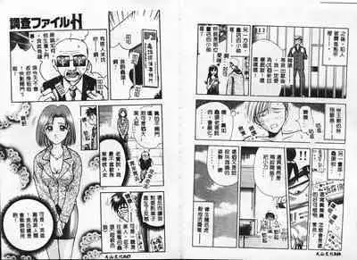 Chousa File H - Investigation File