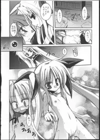 (C77) [MASULAO MAXIMUM (Kazekawa Nagi)] Mangetsu no Yoru ni Hana ~ Tou ~ (Mahou Shoujo Lyrical Nanoha)