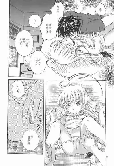 Fushigiiro Happiness