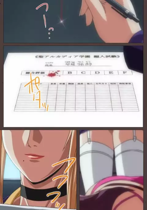 DISCIPLINE Daiichiwa Complete Ban