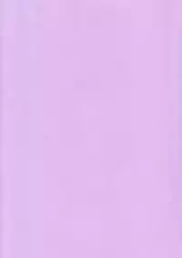 (C58) [Hellabunna (Iruma Kamiri)] INU/MURASAKI (Dead or Alive) [English] [Fakku] [Decensored]