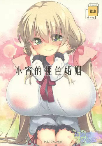(C94) [P.D Chump (Pedocchi)] Imouto ni Hasamarete Shiawasedesho? 2