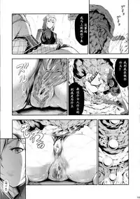 (C90) [Yokohama Junky (Makari Tohru)] Solo Hunter-tachi no Seitai (Monster Hunter) [Chinese] [中国翻訳] [VK1062喵&萌紋 漢化]