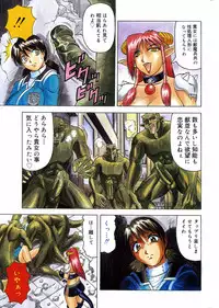 COMIC DOLPHIN 2005-08