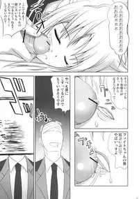 (C73) [40010 1-GO (40010Prototype)] Fate-chan wa Soredemo Shiawase (Mahou Shoujo Lyrical Nanoha)