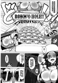 (C87) [HeMeLoPa (Yamada Shiguma)] Robi Ana (One Piece) [Chinese] {by MhoreMife 熟妻窑 个人汉化}