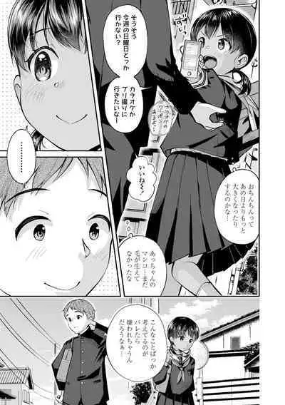 Shishunki wa Ichido dake - The one and only adolescence.
