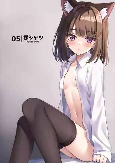 Shibushibu Tanomi o Kiite kureru Uchi no Neko - My cat reluctantly accepts my request