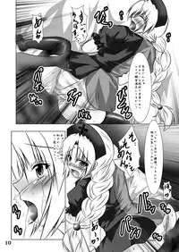 (C78) [Sakuya17sai (Moyomoto LV48)] Autumn Rice Field (Touhou Project)