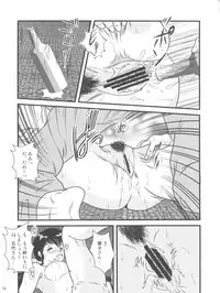 (C84) [Kaigetsudou (Jigoku Sensei Hirobe~)] Fairy 17 (Maison Ikkoku)