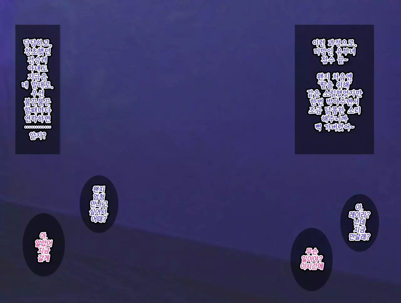 The Netori ~Nanpa-shi Baron no Hitozuma Kanraku Jutsu☆~