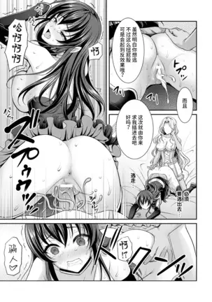 shiro yuri hime to kuro yuri no kishi