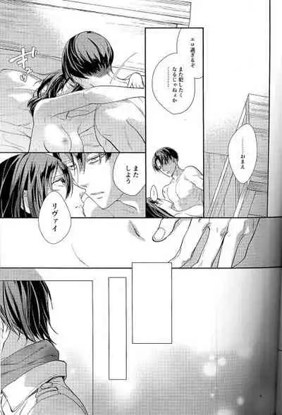 (C95) [Dissonance (Sakuragawa Naa)] Yuugou (Shingeki no Kyojin)