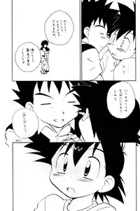 (C73) [Kurikomi (Adachi Himiko)] Beautiful Days (Pokémon)