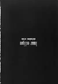 (SC49) [Nagaredamaya, Fuguri (BANG-YOU, Shindou)] lunar eclipse (Bishoujo Senshi Sailor Moon)