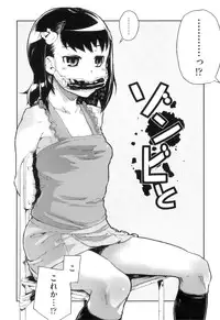 [Yamashita Kurowo] Katai Marshmallow