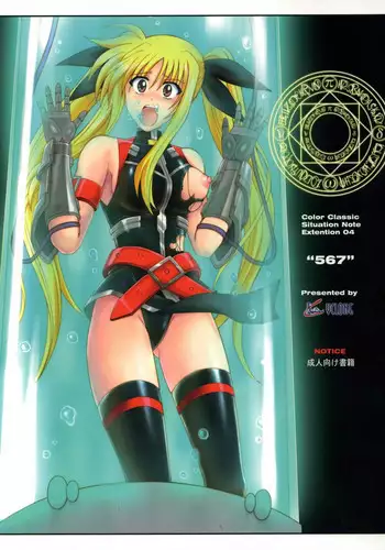 [Cyclone (Izumi Kazuya)] Color Classic Note Extension 04 "567" (Mahou Shoujo Lyrical Nanoha) [Digital]