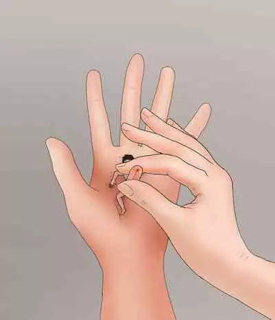 A Man Visit A Private GTS Club