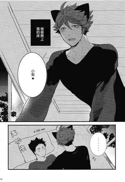 Iwa-chan no Neko ni Naritai | 我想成为小岩的猫