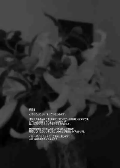 [ERECT TOUCH (Erect Sawaru)] Flower Vendor ~Hanauri Onee-san ni Yasashiku Fudeoroshi~ [Chinese] [不可视汉化]
