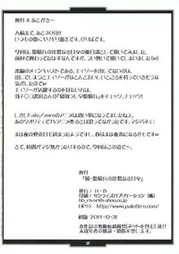 (C81) [H.B (B-RIVER)] Zoku Rider no Inwai naru Hibi (Fate/stay night)