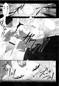 Comic PLUM 2009-04