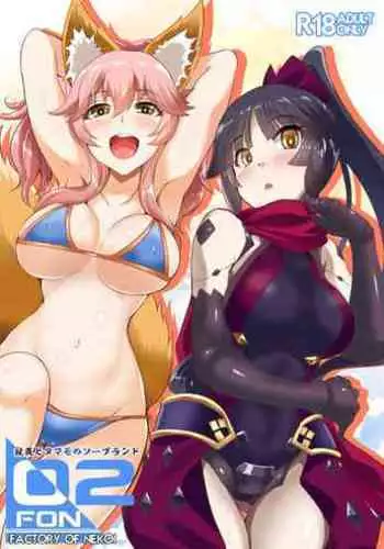 [Once Only (Nekoi Hikaru)] FACTORY OF NEKOI 02 Danzou to Tamamo no Soapland (Fate/Grand Order) [Chinese] [????????] [Digital]