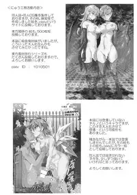 (Kouroumu 10) [Nyuu Koubou (Nyuu)] Oidemase!! Jiyuu Fuuzoku Gensoukyou 2-haku 3-kka no Tabi - Kou (Touhou Project) [Chinese] [后悔的神官个人汉化]