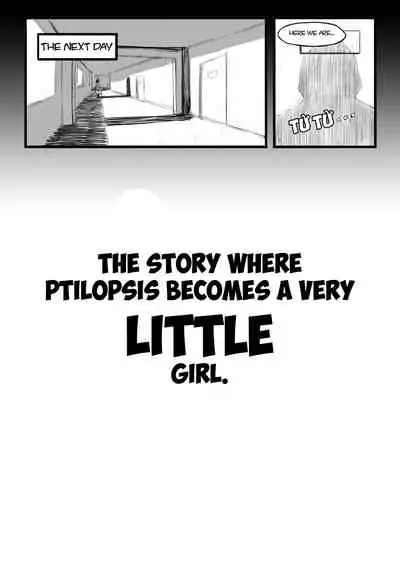 The Story Where Ptilopsis Becomes A Very Little Girl