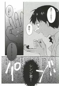 (Kimi to no Rendan 6) [obake (Sakuma)] Once Swan (Neon Genesis Evangelion)