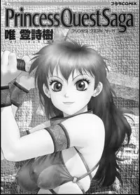 [Yui Toshiki] Princess Quest Saga [English] [SaHa]