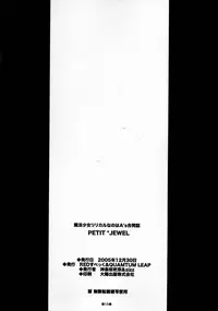 (C69) [Quantum Leap, RED spec (Kagurazaka Sakina, ZiZZ)] PETIT JEWEL (Mahou Shoujo Lyrical Nanoha)