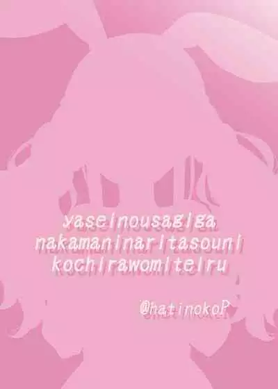 Yasei no Usagi ga Nakama ni Naritasou ni Kochira wo Miteiru
