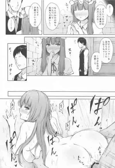 Patchouli Knowledge Kaihatsu Kiroku II