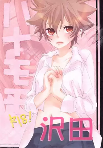 (Zenkoku R11) [Hatsuai Roumanjou (Various)] PP Boku no Itoshii Pretty Pink (Katekyo Hitman REBORN!) [Incomplete]